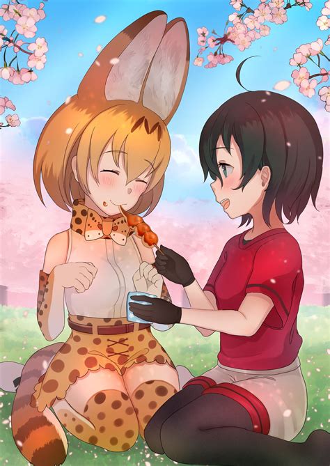 Anime Fandoms Kemono Friends Serval Kemono Friends Anime