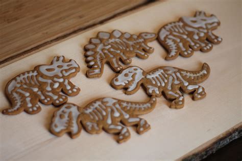 It Was 30 Degrees Out Today Again So I Made Dinosaur Cookies For My