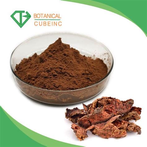 ISO Certified Rhodiola Rosea Extract Salidroside Powder