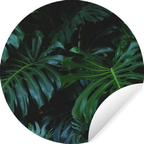 Wallcircle Muurstickers Behangcirkel Planten Jungle Bladeren