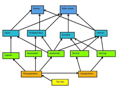 JOYCE S CHOICES Bikini Bottom Ecosystem Notes