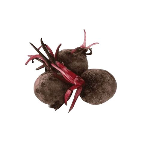 Sugar Beets | 500g - GoodFinds Ph