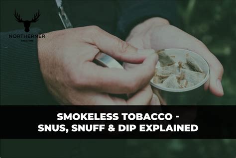 Smokeless Tobacco Snus Snuff Dip Explained The Northerner