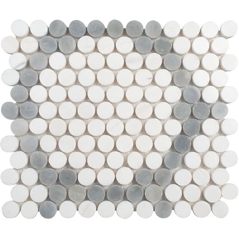 Snow White Allure Light Honed Penny Round Marble Mosaic X