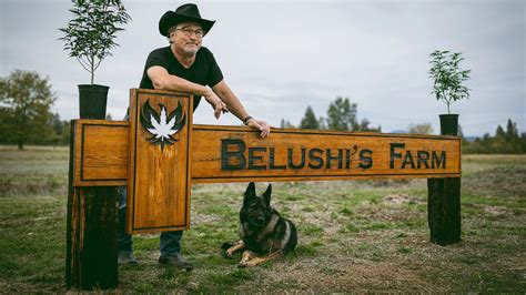 'SNL' Alum Jim Belushi Blazed a Trail Outside His Comfort Zone to Farm ...