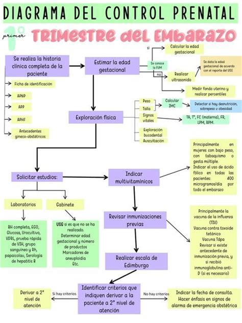 Mapa Conceptual De Control Prenatal Trabajo Udocz Porn Sex Picture