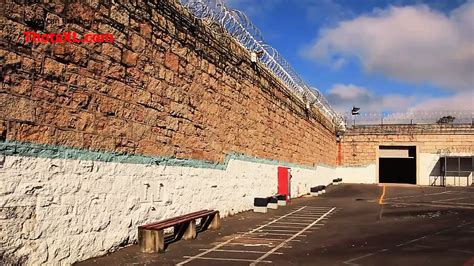 Serene Siren Porn Videos 2025 Porn Star Sex Scenes XHamster