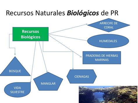 Recursos Naturales De Puerto Rico