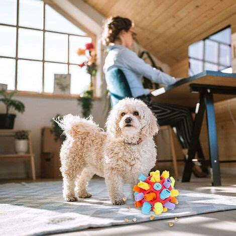 Tapis à Renifler Ballon pour Chiens Tapis de Jeu pour Chiens Éducateurs