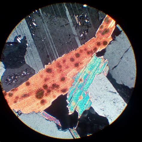 Muscovite Thin Section