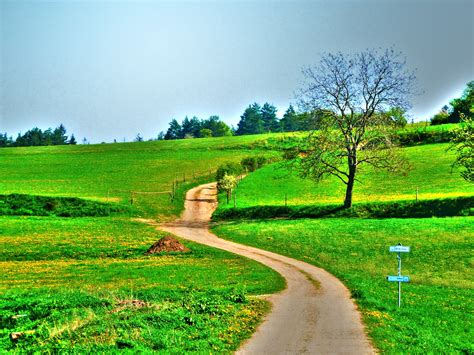 Free Images Landscape Tree Nature Forest Horizon Farm Lawn