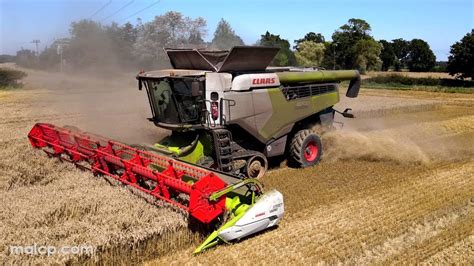 4kᵁᴴᴰ Harvest 2023 Claas Lexion 8700 Tt Harvesting Wheat With A New Holland T8020 On Carting