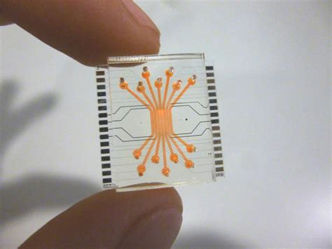 Amazing Microfluidic Chip Emulates Living Organs and Tissues