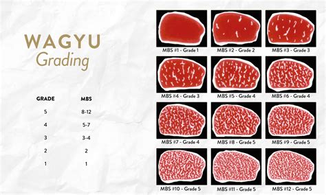 Beef Grading Scale