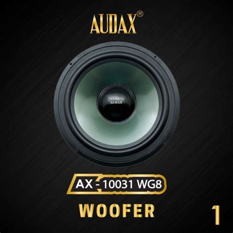 Promo Speaker Pasif Audax Ax Wg Woofer Diskon Di Seller