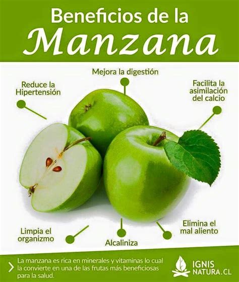 Beneficios De La Manzana Verde Apple Benefits Fruit Benefits Health