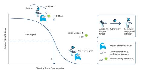 Tr Fret And Fp Assay Reagents Bio Techne