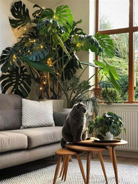 Como aderir ao Urban Jungle na decoração dicas e inspirações