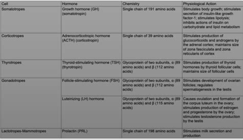 Pituitary Hormones 76 Flashcards Quizlet