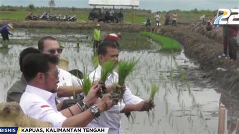 Perkuat Produksi Pangan Mentan Kawal Penanaman Padi Di Food Estate Kapuas