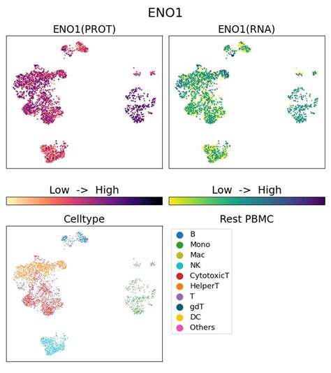 ENO1 Antibody G81478 1 5C Proteintech