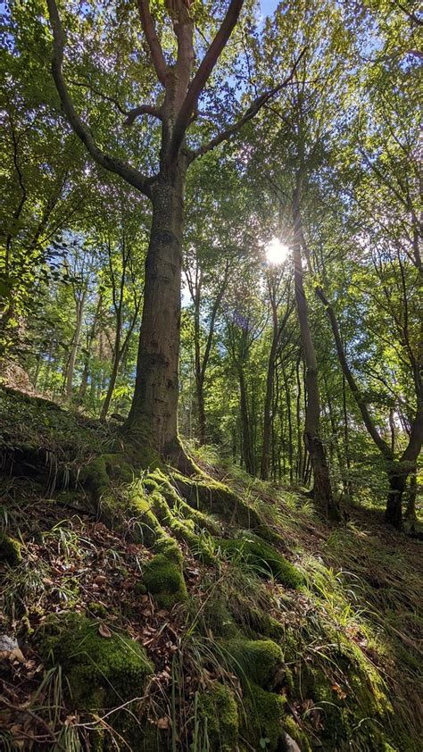 Wanderung Zur Mestrenger M Hle Totogrphy Flickr