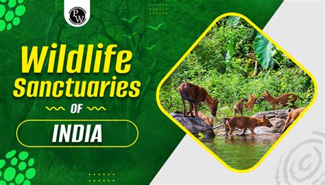 Wildlife Sanctuaries Of India 2023, State Wise List,, 45% OFF