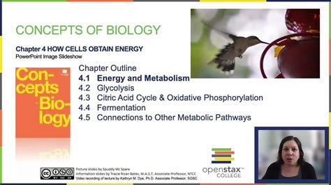 Openstax Concepts Of Biology Chapter 4 1 Part 1 Youtube