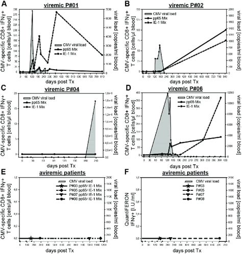 Longitudinal Monitoring Of Cmv Specific Immunity Reveals Heterogeneous