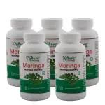 Buy Naturz Ayurveda Moringa Oleifera Mg Tablets Pack Of