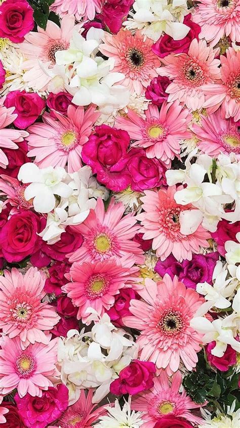 Beautiful Pink Flowers Wallpapers - Top Free Beautiful Pink Flowers