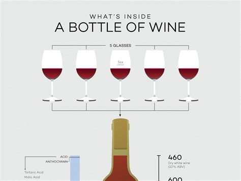 What is Wine? A Beautiful Explanation | Wine Folly