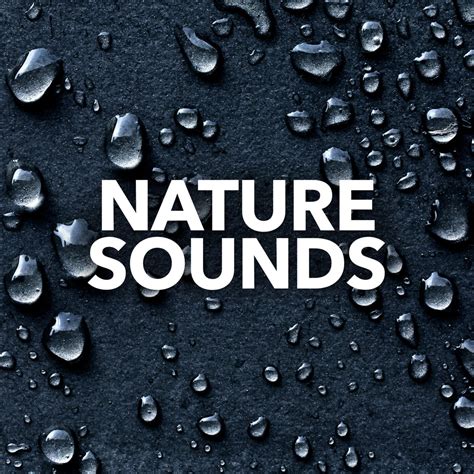 Nature Sounds Nature Sounds Iheart