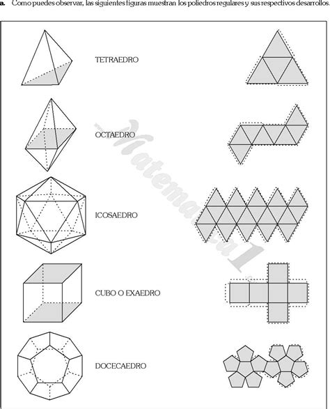 Conoce El Significado Y La Importancia De Un Desarrollo Plano