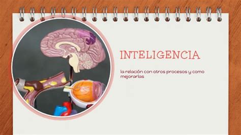 las bases biológicas de la inteligencia y el aprendizaje