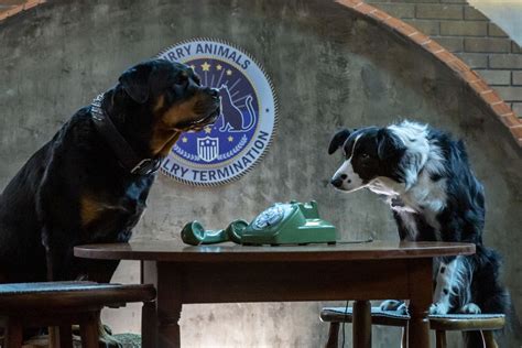 Foto de la película Como perros y gatos La patrulla unida Foto 20