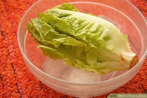 How to Crisp Lettuce: 6 Steps (with Pictures) - wikiHow