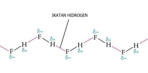 5 Contoh Ikatan Hidrogen Materi Kimia