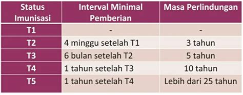 Status Imunisasi Pro Catin