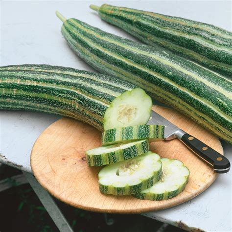 Cucumbers Hudson Valley Seed Company