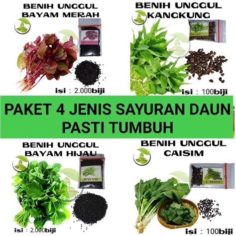 Jual Paket Jenis Benih Sayuran Daun Daunan Mudah Tumbuh Paket Hemat