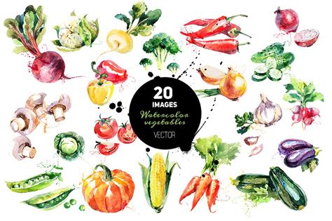 20 Watercolor Vegetables Vector Design Cuts