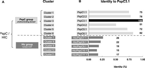 Molecular Analyses Identifies New Domains And Structural Differences