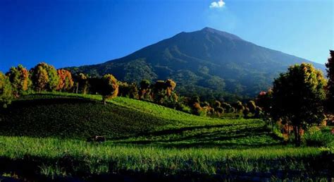 Taman Nasional Kerinci Seblat Petualangan Di 4 Provinsi Sekaligus