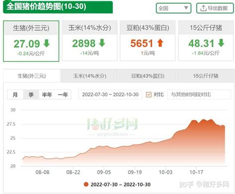 10月30日猪价反弹不利！持续大面积下跌，猪价会一蹶不振吗？ 知乎