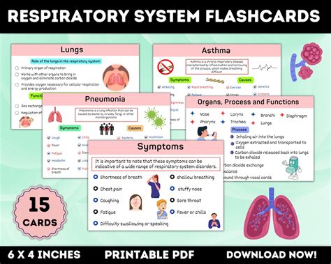 Respiratory System Flashcards Printable Respiratory Therapy