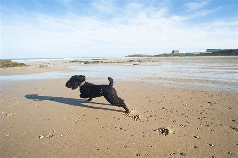 Beaches in Cornwall