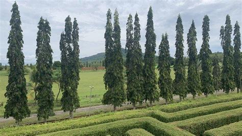 Wisata Kalsel Taman Rekreasi Tambang Labirin Fasilitas Ini Bisa