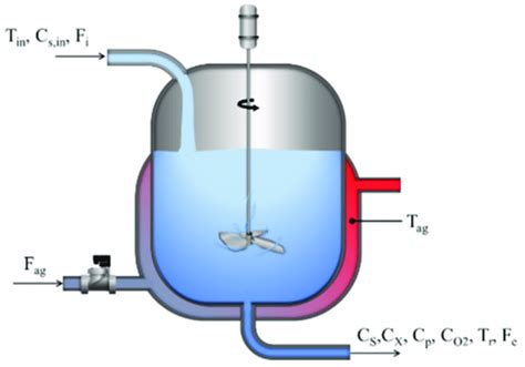 Schematic representation of the bioreactor. | Download Scientific Diagram