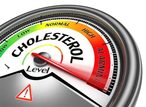 Mengenal Kolesterol LDL Dan Cara Mengontrolnya Hello Sehat